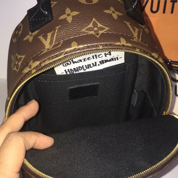 Louis Vuitton Palm Spring Mini Backpack - Picture 13 of 17